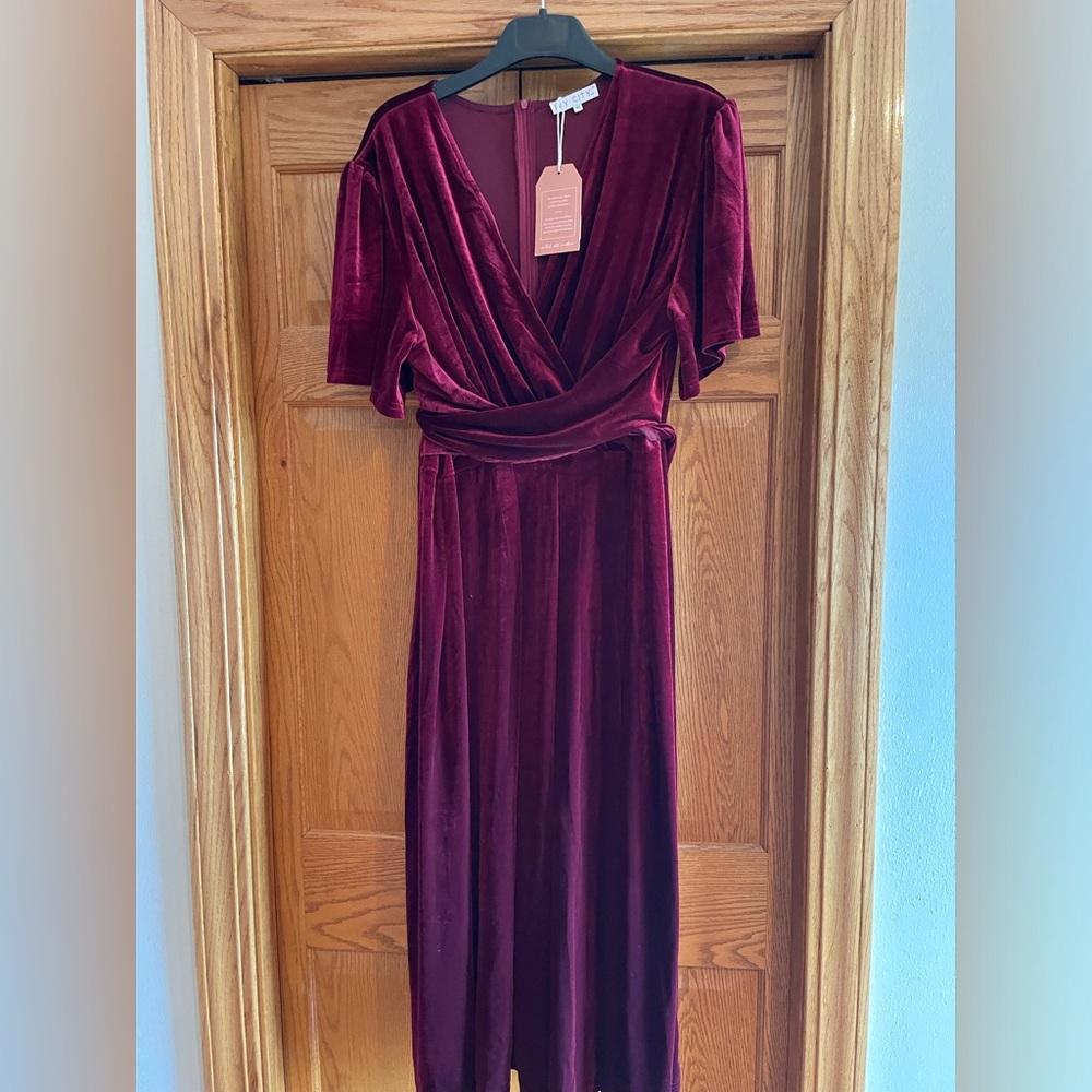 Ivy City Co Velvet dress NWT